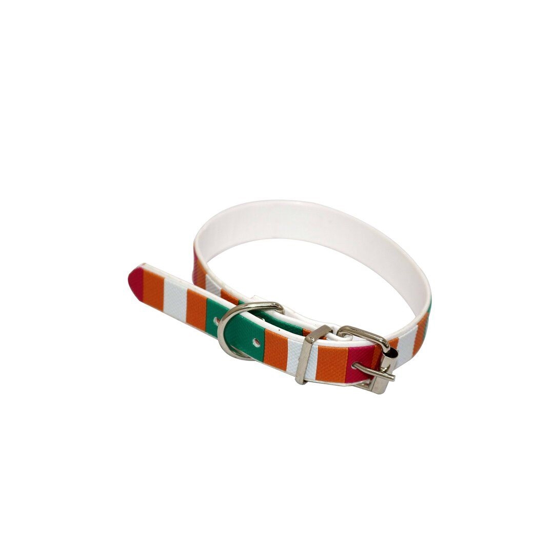 TXON Stores Your choice for home products.. Dog collar belt