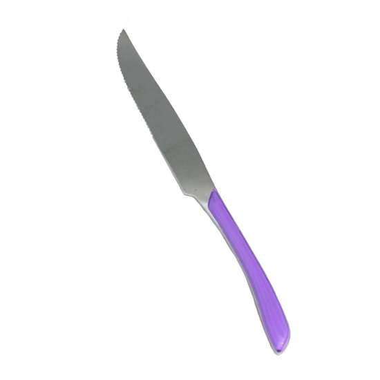 Picture of Stainless Steel Knife with Colored Handle - 29 Cm