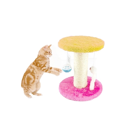 Picture of Cat Toy Scratching Post - 21 x 20 Cm