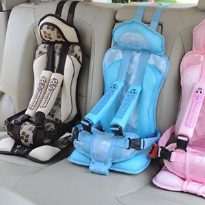 Picture for category Car Seat Accessories