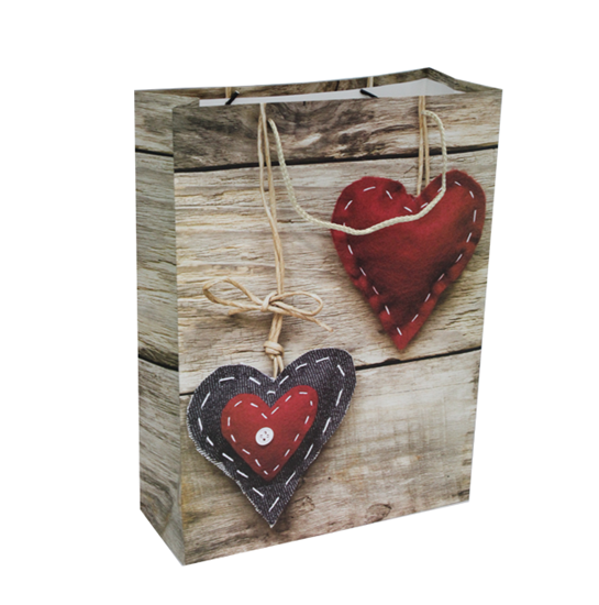 Picture of Printed Gift Bag - 30 x 41.5 x 12 Cm