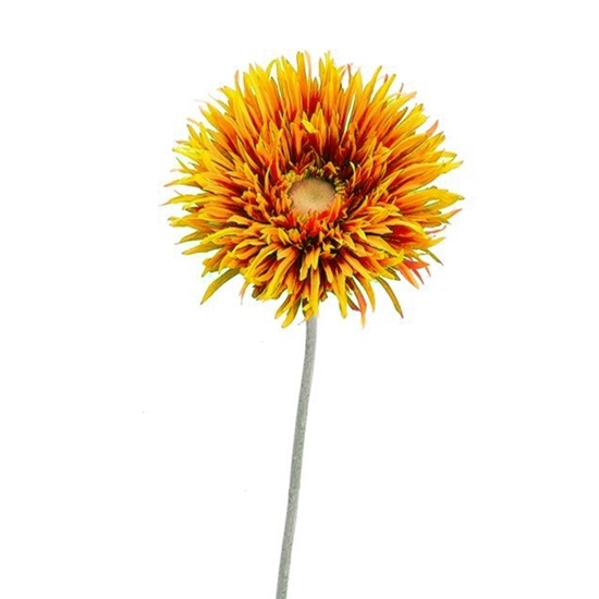 Picture of Spider Artificial Flower - 75 Cm