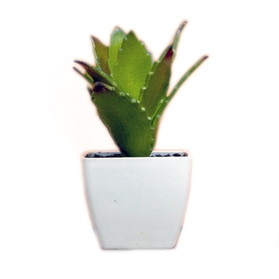 Picture of Artificial Potted Plant - 10 x 6 Cm