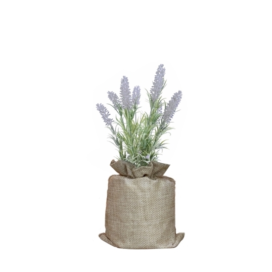 Picture of Potted Lavender Flower - 27 x 7.5 cm