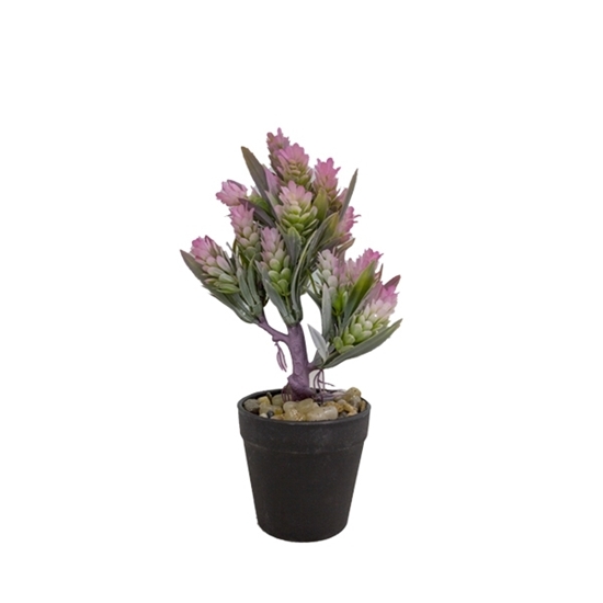 Picture of Artificial Potted Plant - 25 x 9 Cm