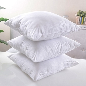 Picture for category Inner Cushions
