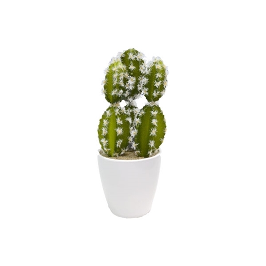 Picture of Artificial Potted Plant - 23 x 7 Cm