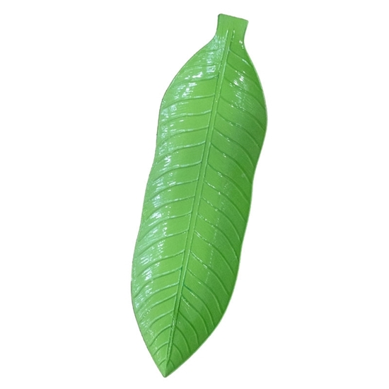 Picture of Green Leaf Plate -  53 x 16 Cm