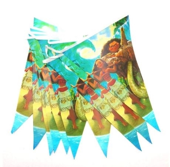 Picture of Party Banner MOANA - 28 x 20 Cm