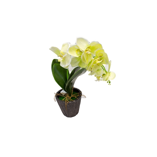 Picture of Orchid Artificial Flower - 35 Cm