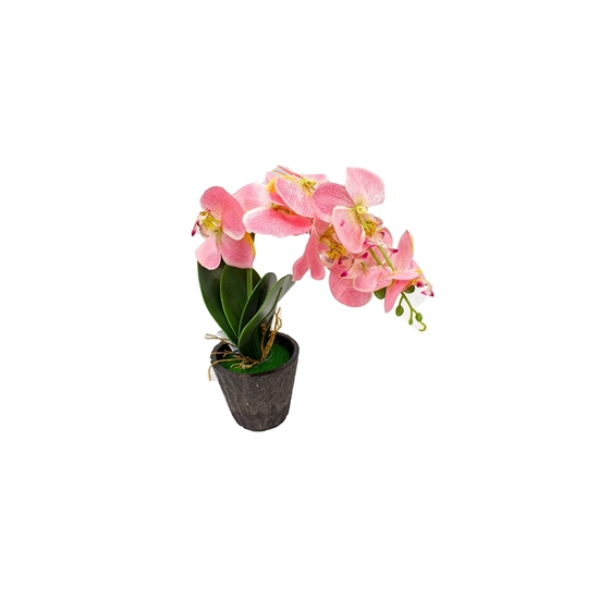 Picture of Orchid Artificial Flower - 35 Cm