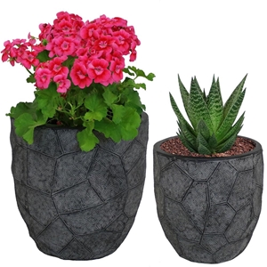 Picture for category Pots & Plant Stands