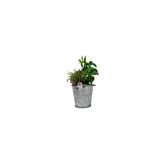 صورة Mini Artificial Plants Plastic - 10 x 6 Cm