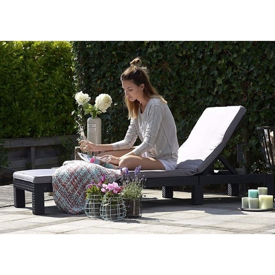 TXON Stores Your choice for home products.. Daytona Sunlounger - (Grey)