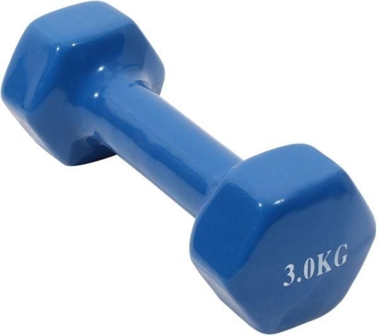 Picture of Dumbbell - 3 Kg