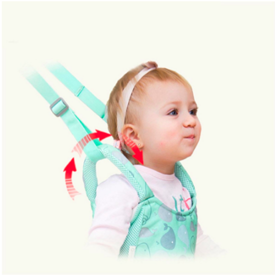 Picture of Baby Walking Assistant