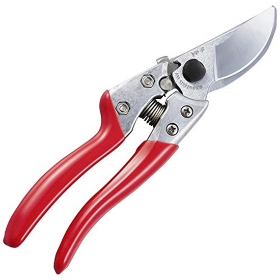 Picture of Pruning Shear - 21 x 5 Cm