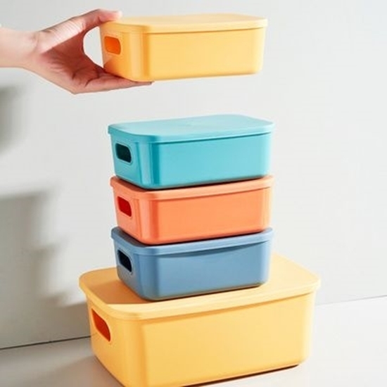 Picture of Storage box with Lid - 28 x 10 x 9.5 Cm