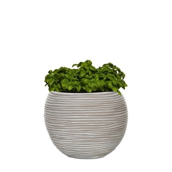 Picture of Capi - Plant Pot - 39.88 x 39.88 x 32 Cm
