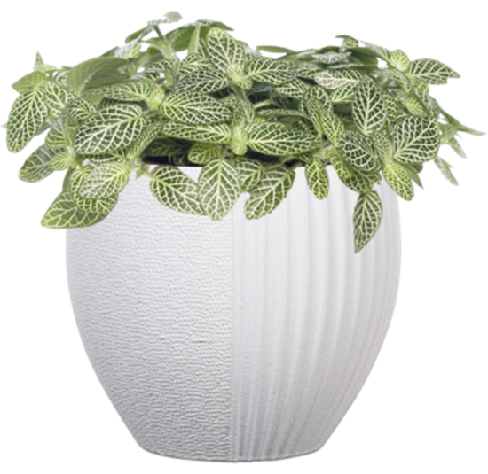 Picture of ‎Capi - Plant Pot - ‎10 x 10 Cm