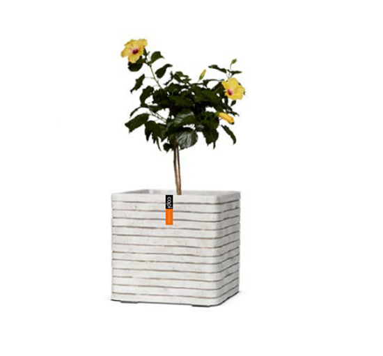 Picture of ‎Capi - Plant Pot - ‎15 x 15 x 15 Cm