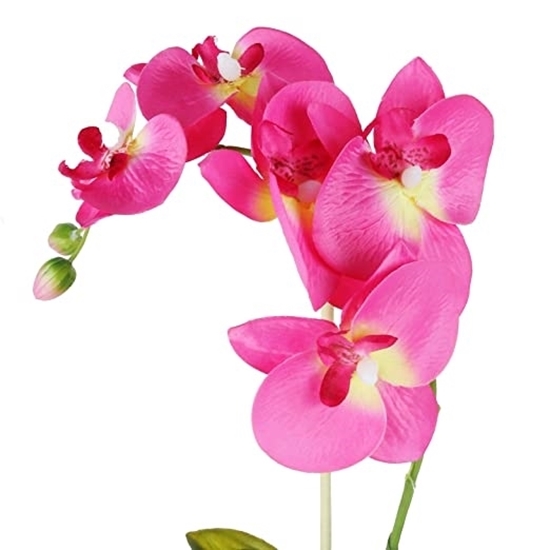 Picture of Artificial Flower - 75 Cm