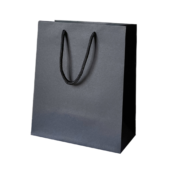 Picture of Gift Bag - 23 x 18 x 10 Cm