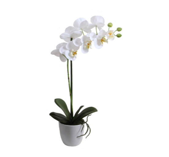 Picture of Artificial Phalaenopsis - 54 Cm