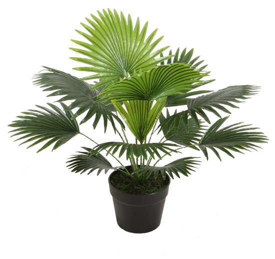 Picture of Artificial Tree in Pot - 50 Cm