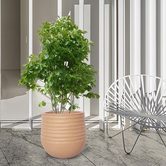 Picture of STI - Mariella Planter - 53 x 49 x 32 Cm