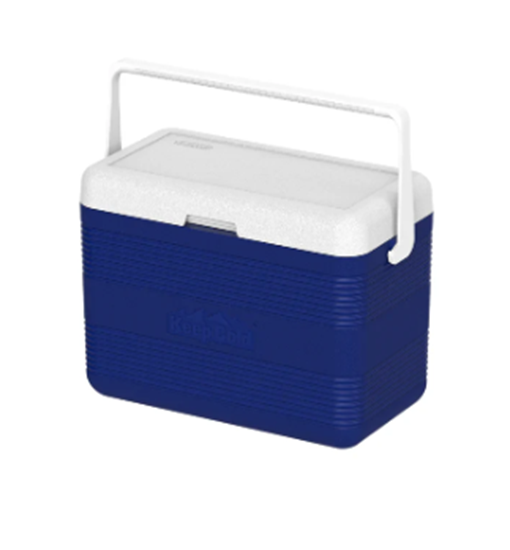 Picture of Cosmoplast - Cooler Box, 30L - 50 x 27 x 38 Cm