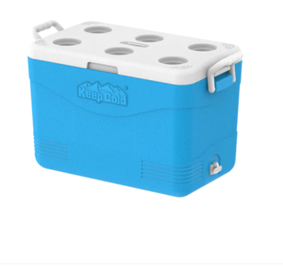 Picture of Cosmoplast - Cooler Box, 64L - 64 x 33.5 x 37 Cm