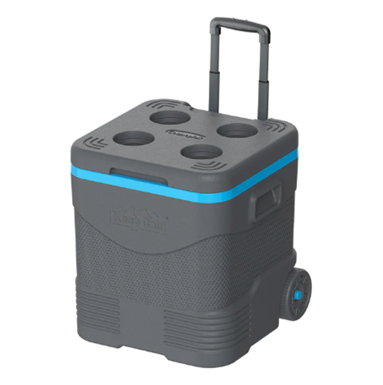 Picture of Cosmoplast - Cooler Box, 45L - 43.5 x 45.5 x 47.3 Cm