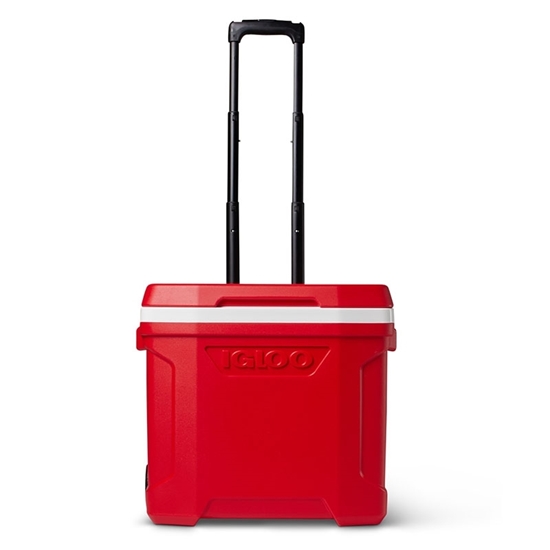 Picture of Igloo - Cooler Box, 26.5L - 46.68 x 33.82 x 41.15 Cm