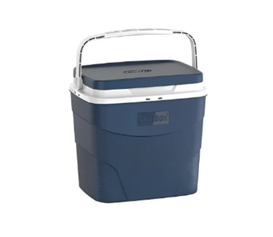 Picture of Cosmoplast - Cooler Box, 12L - 31 x 23.5 x 31 Cm