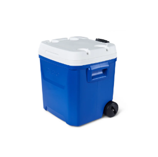 Picture of Igloo - Cooler Box, 57L - 51.5 x 47.5 x 53 Cm