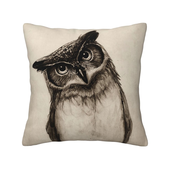 Picture of Cushion Cover - 45 x 45 Cm